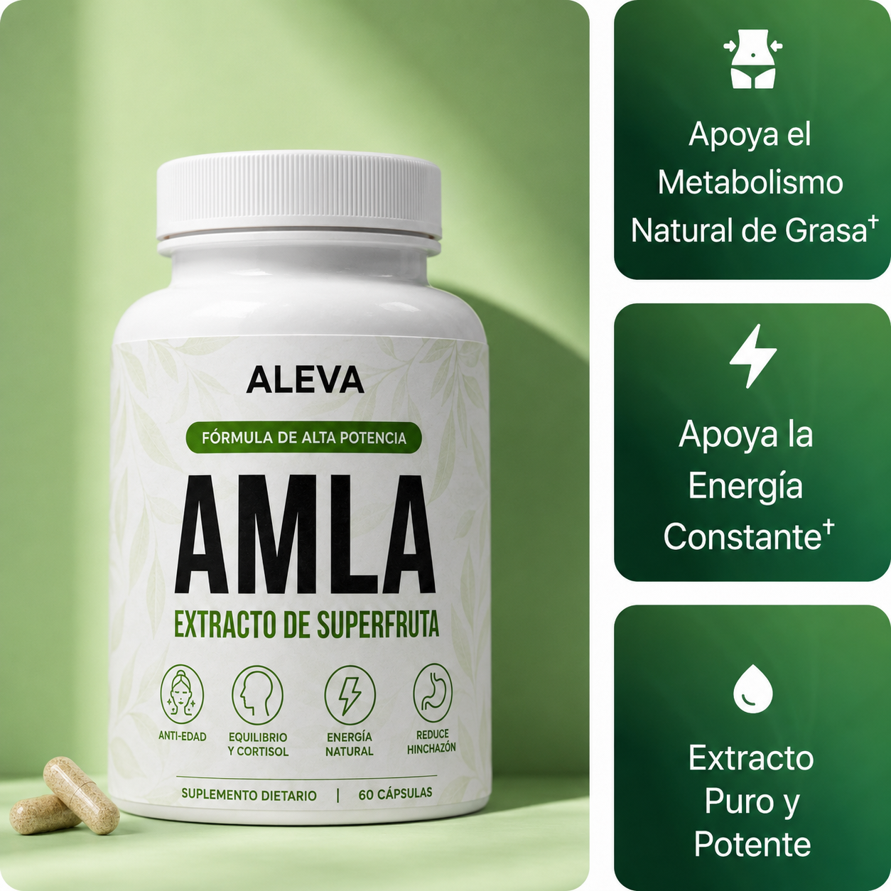 Aleva Amla — Suplemento de Energía Natural